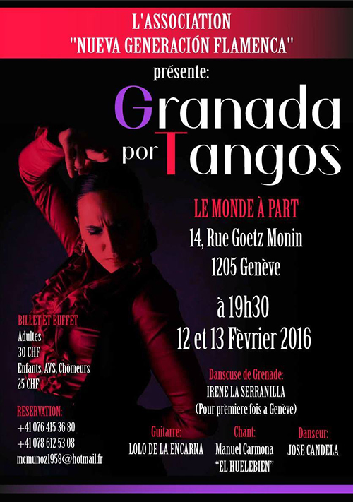 « Flamenco (danse et chant) » organisées par l'association Benzadance  vendredi 12 et dimanche 13 février 2016